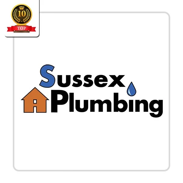 Sussex Plumbing LLC: Timely Home Cleaning Solutions in Garita
