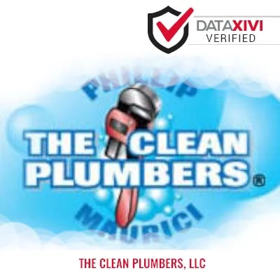 The Clean Plumbers, LLC Plumber - Grassflat
