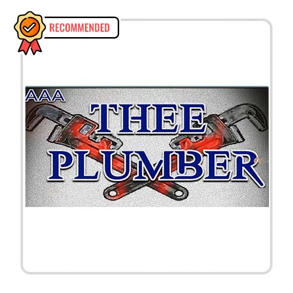 Thee Plumber: Sink Fixing Solutions in Jasper