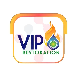 VIP RESTORATION INC Plumber - DataXiVi
