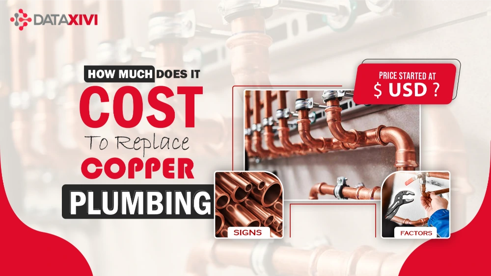 Copper Plumbing Cost - DataXiVi